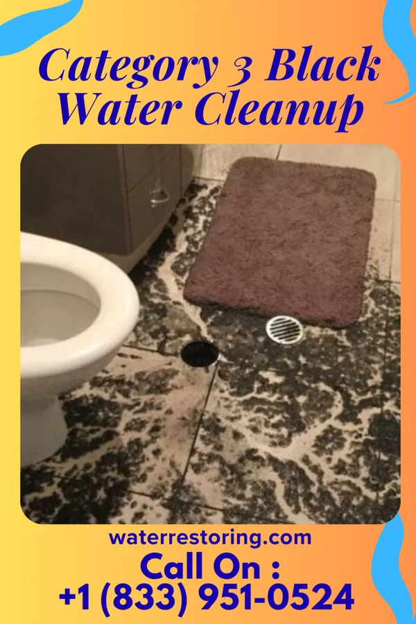 Category 3 Black Water Cleanup in Sanborn, MN
